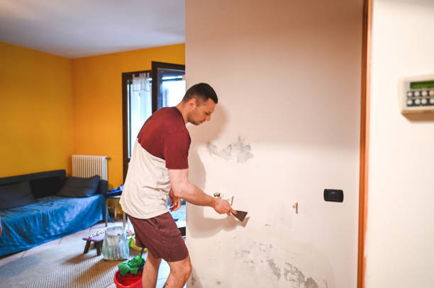 Best Crawl Space Mold Removal  in William Paterson University Of New Jersey, NJ